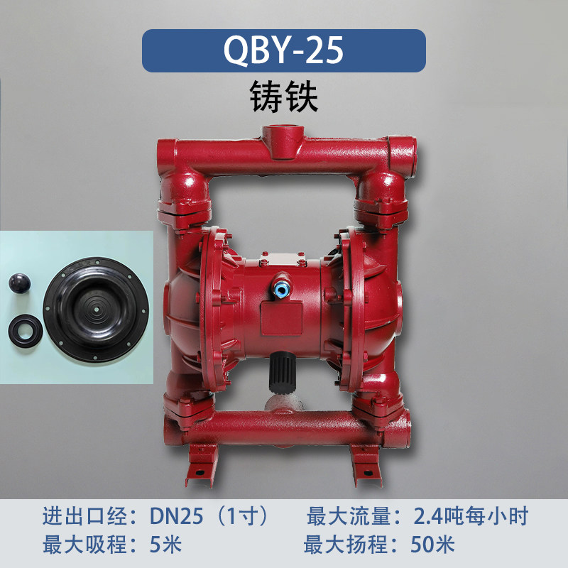 1 in Cast iron AODD Pump