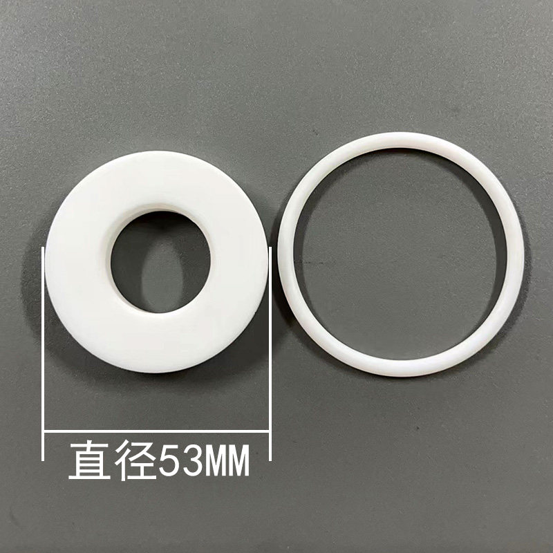 PTFE Check Valve Seat — 53mm