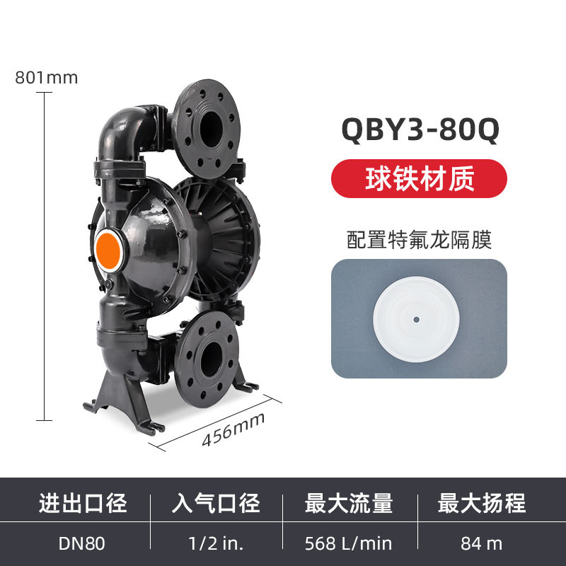 3 in Ductile iron AODD Pump
