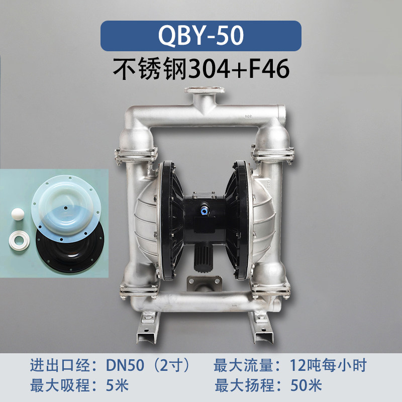 2 in Stainless steel AODD Pump