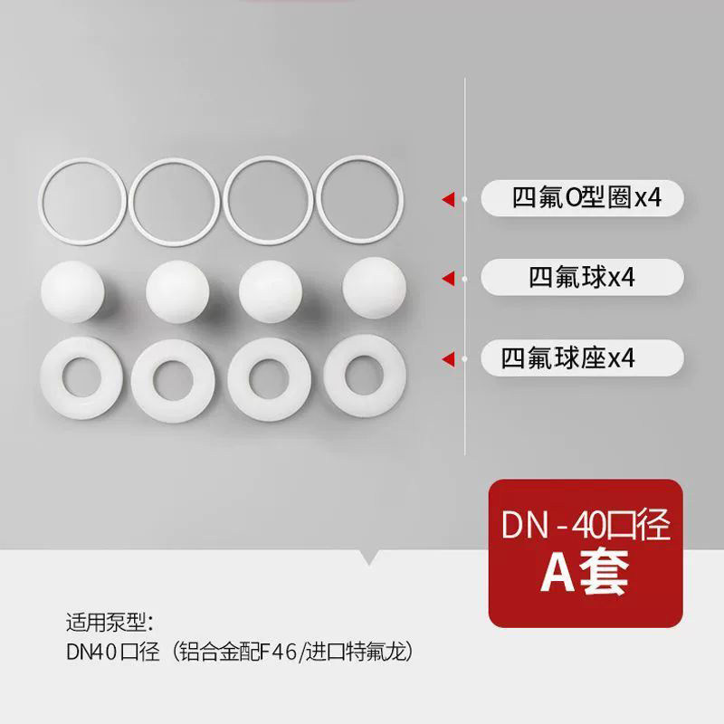 PTFE Check Valve Kit