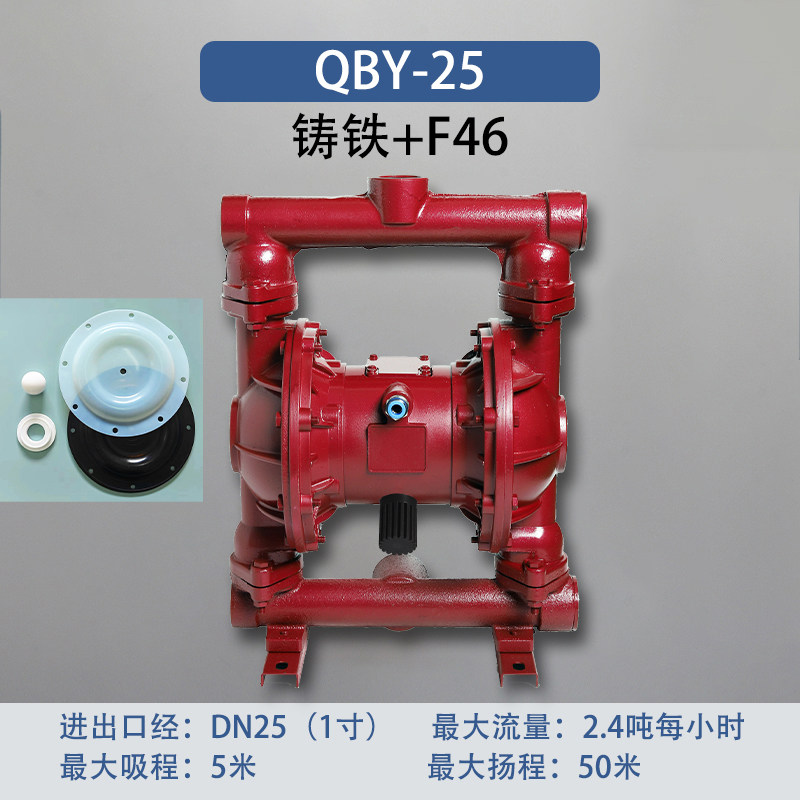 1 in Cast iron AODD Pump