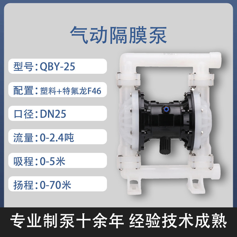 1 in Plastic AODD Pump