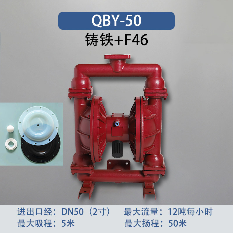 2 in Cast iron AODD Pump