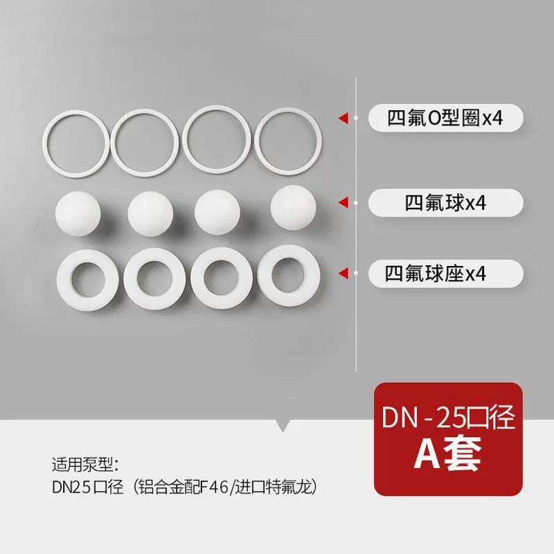 PTFE Check Valve Kit