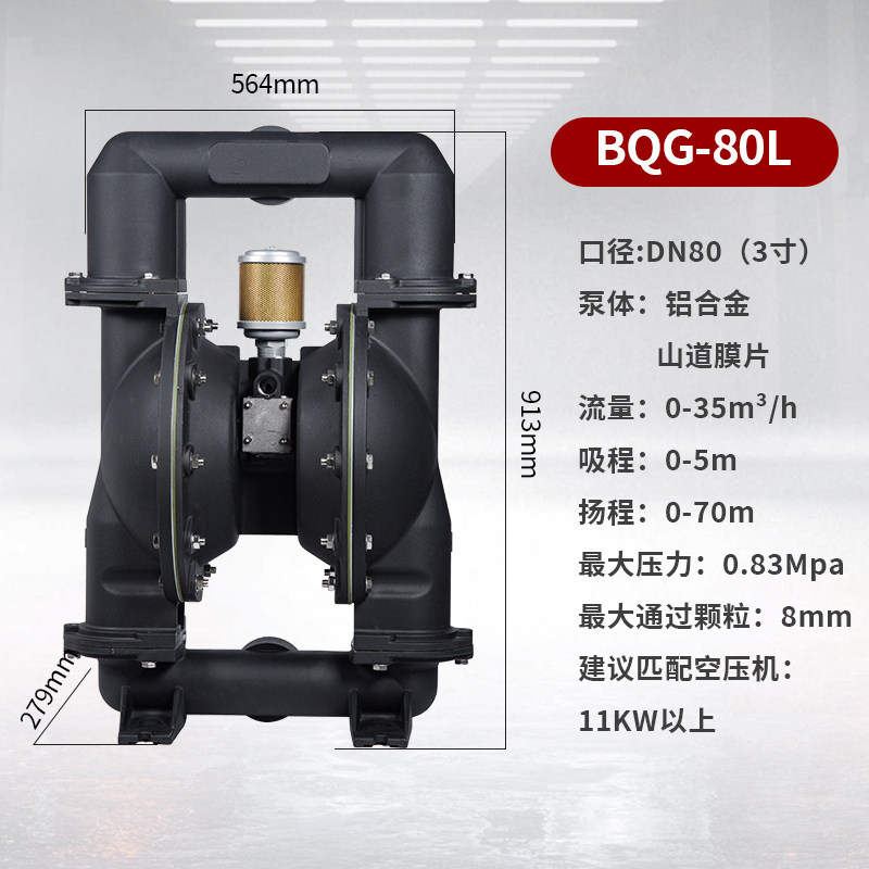 3 in Aluminum AODD Pump