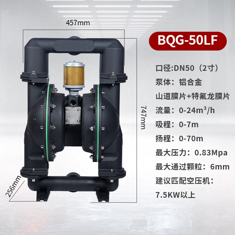 2 in Aluminum AODD Pump