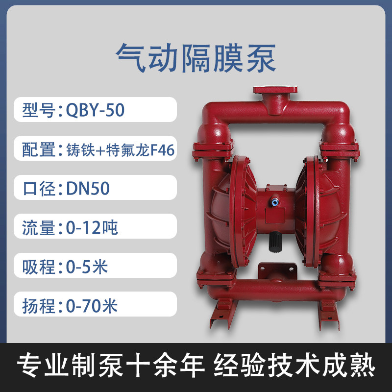 2 in Cast iron AODD Pump