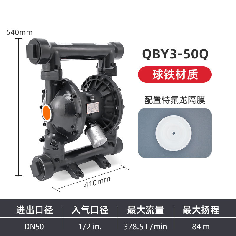 2 in Ductile iron AODD Pump