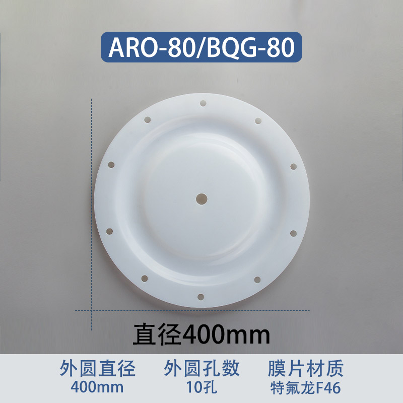 F46 fluoropolymer Replacement Diaphragm — 410mm