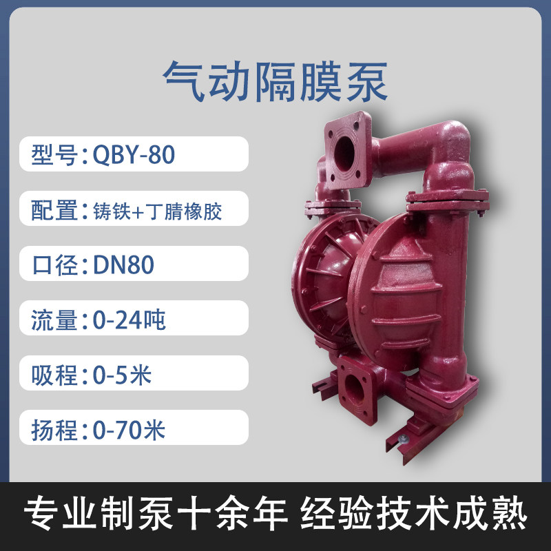 3 in Cast iron AODD Pump