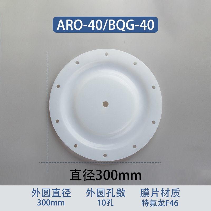 F46 fluoropolymer Replacement Diaphragm — 295mm