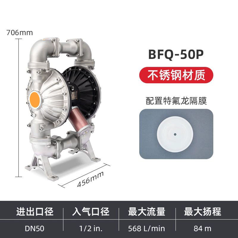 2 in Stainless steel AODD Pump