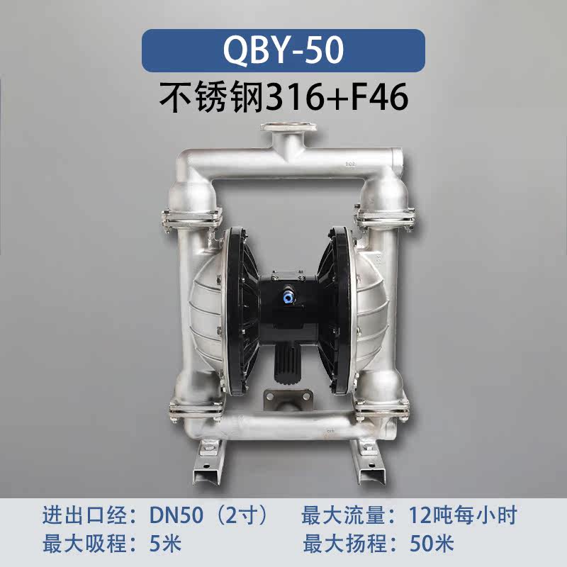 2 in Stainless steel AODD Pump