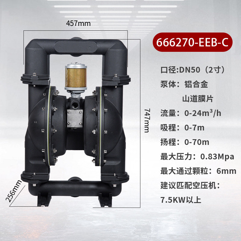 2 in AODD Pump