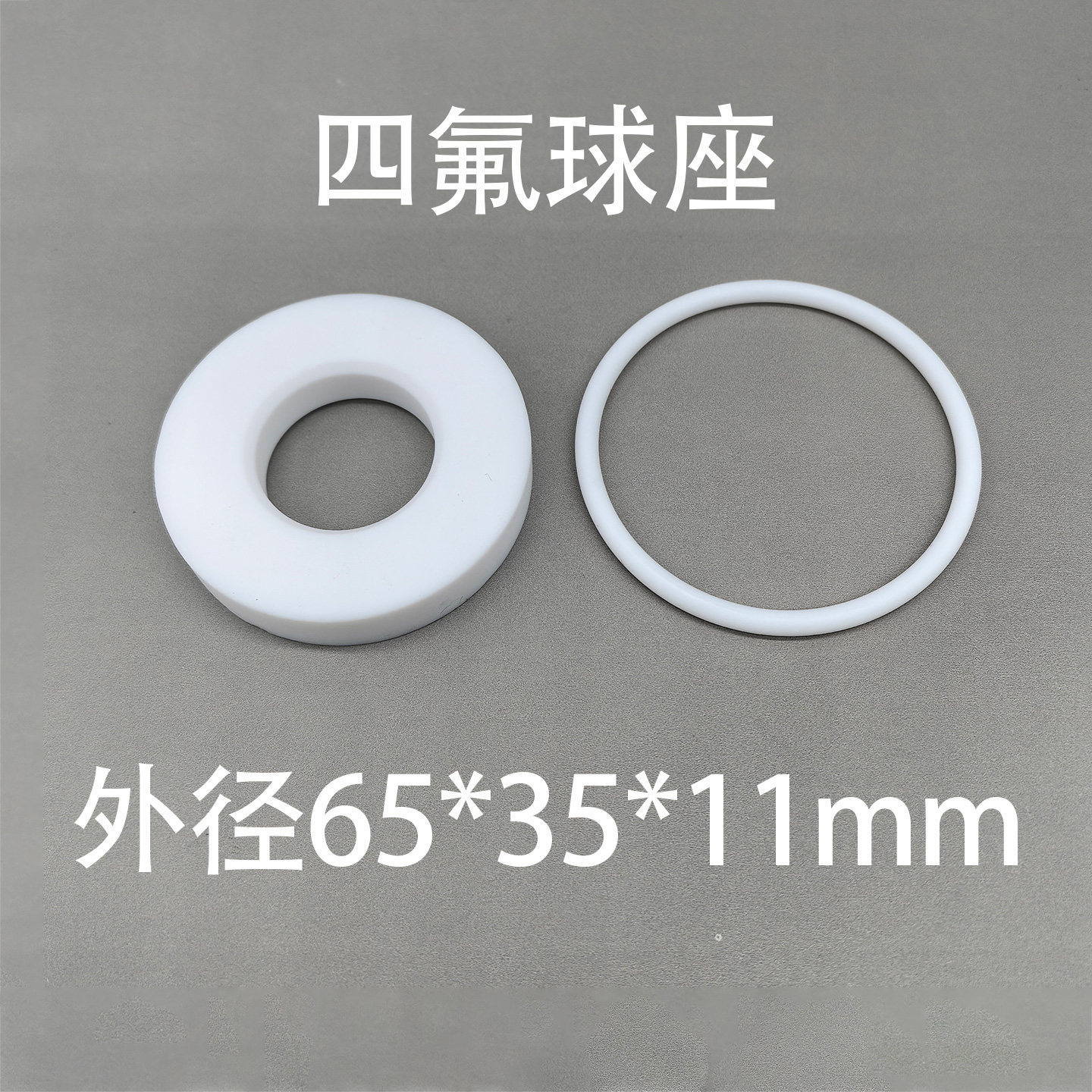 PTFE Check Valve Kit