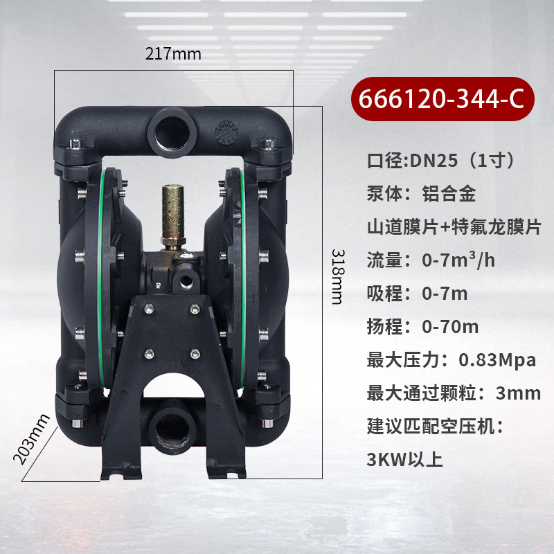 1 in AODD Pump