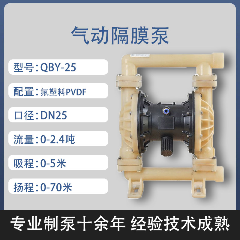 1 in PVDF AODD Pump