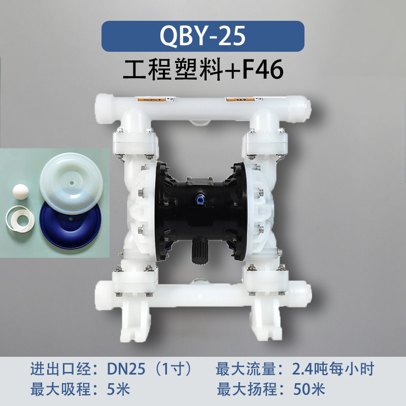 1 in Plastic AODD Pump