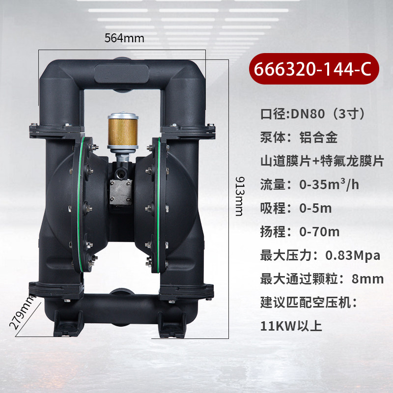 3 in AODD Pump