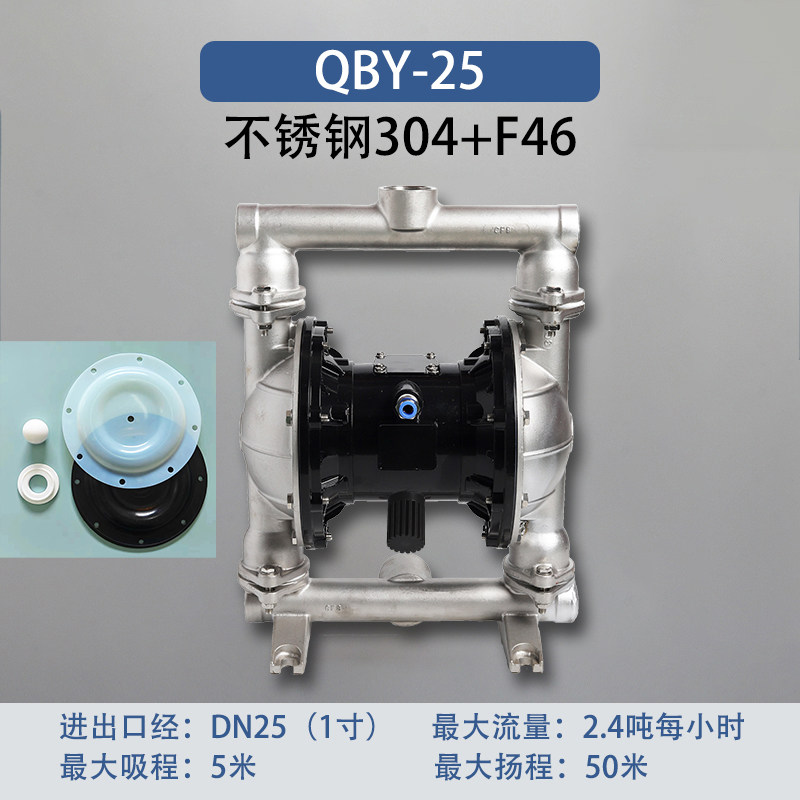 1 in Stainless steel AODD Pump