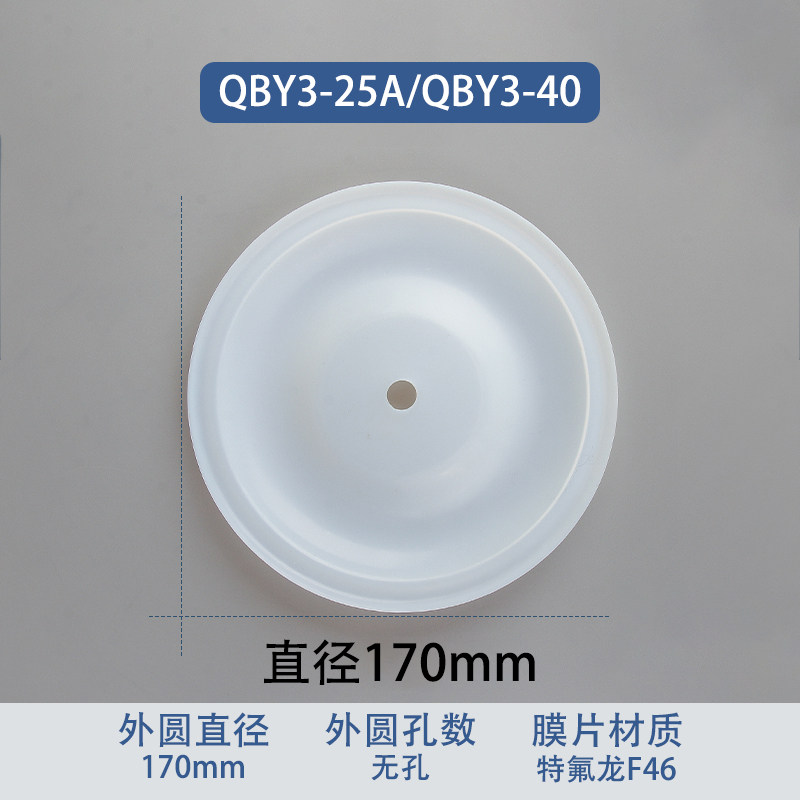 F46 fluoropolymer Replacement Diaphragm — 170mm